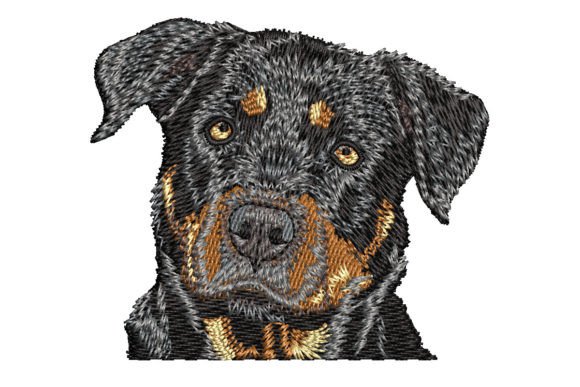 Rottweiler Embroidery Design